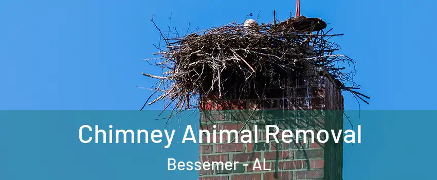  Chimney Animal Removal Bessemer - AL
