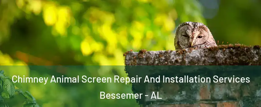  Chimney Animal Screen Repair And Installation Services Bessemer - AL