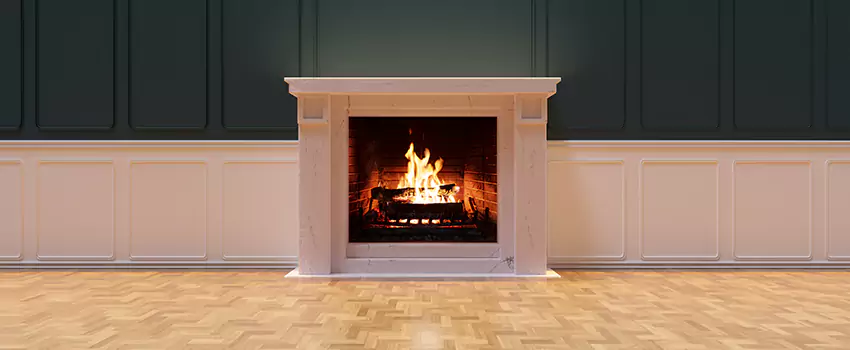 Napoleon Electric Fireplaces Inspection Service in Bessemer, Alabama