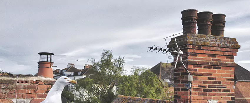 Chimney Cleaning And Restoration in Bessemer, Alabama