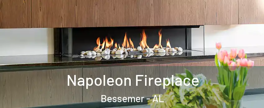  Napoleon Fireplace Bessemer - AL